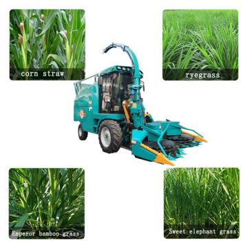 Top sales best price tractor mounted forage harvester silage grass cutting harvester corn silage harvester machine