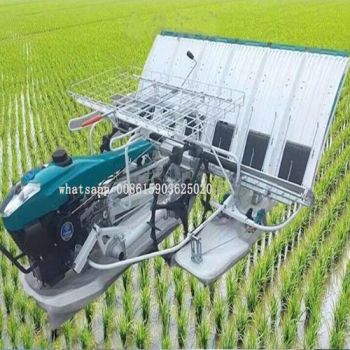 Top selling Gasoline Paddy Rice Transplanter 6 Row 4 Row Rice Seeder Seedling Planting Sowing Machine Paddy Rice Planter