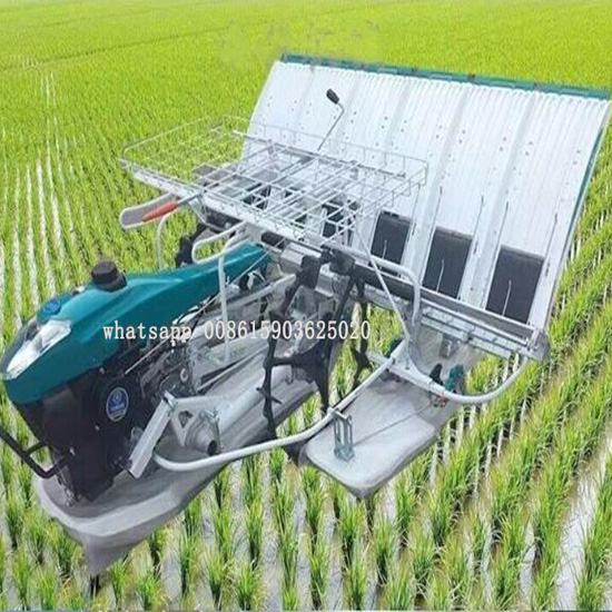 Top selling Gasoline Paddy Rice Transplanter 6 Row 4 Row Rice Seeder Seedling Planting Sowing Machine Paddy Rice Planter